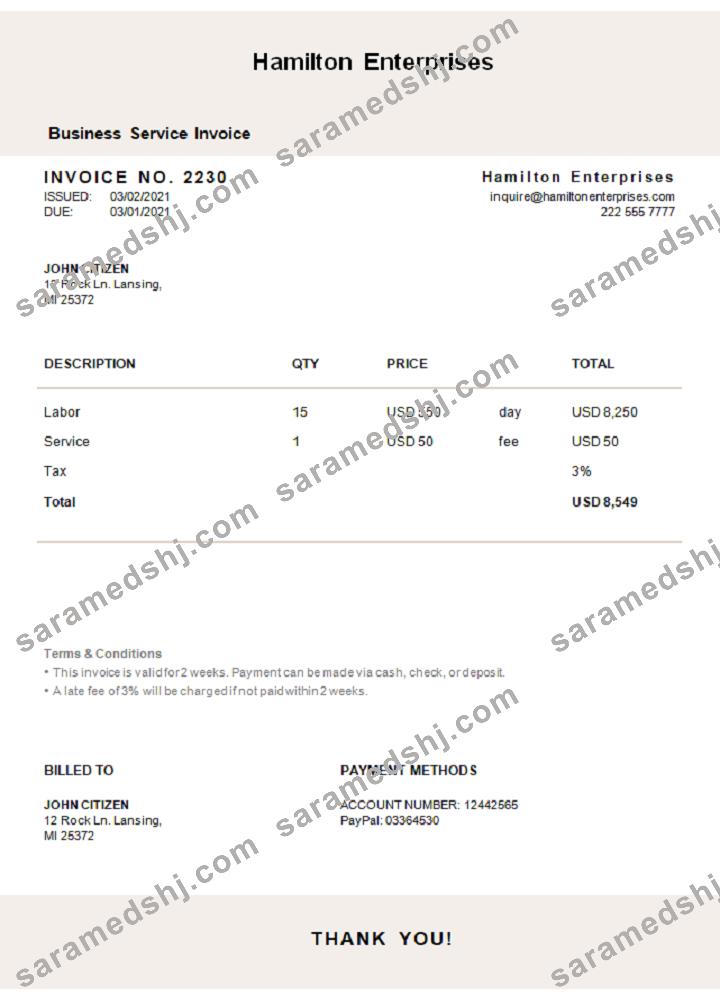 USA Hamilton Enterprises invoice